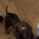 rattlemejones avatar