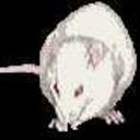 rattrashh avatar