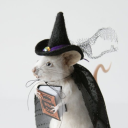 ratwarlock avatar