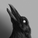 raven-delamuerte avatar