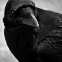 raven-evil avatar
