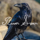 raven-system avatar