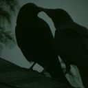 raven-talons avatar