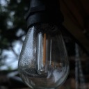 raven-thingie avatar