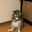 ravena-poetica avatar