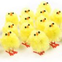 ravenbeaksabs avatar