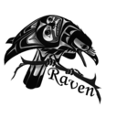 ravenblackwing avatar