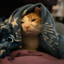 ravenisafanofthings avatar