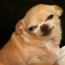 ravensreblogs avatar