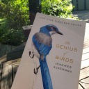 ravenstudyroost avatar