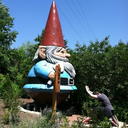 raves-with-trees avatar