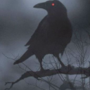 ravin-inthe-nightshade avatar