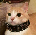 ravish--me--red avatar