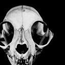 rawquotesfromthevoid avatar