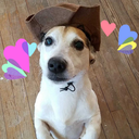 rawr-imma-zombie avatar