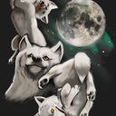 rawrgoesmoonmoon avatar