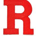 ray-of-random-raymond avatar