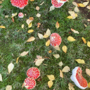 ray-shifts-realities avatar