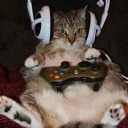 ray-writes-n-shit avatar