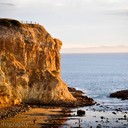 ray-yeeta-boozle avatar