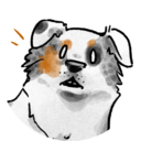 raychof avatar