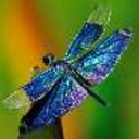 rayle777-blog avatar