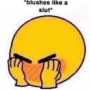 rayrayredpanda avatar