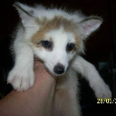 razorloves avatar
