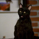 razzle-dazzlee avatar