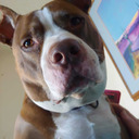 rconde56-blog avatar