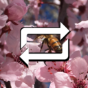 re-bumbleblossoms avatar