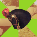 re-enactmenthorse avatar