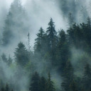 reachingperihelion avatar