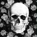 readerfreak17 avatar