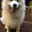 readerwriterthinker avatar