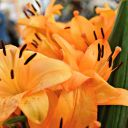 readfifteenmillionwords avatar