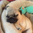 readilyfurioussummit avatar