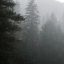 reading-till-5am avatar