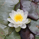 reading1bookislikeatingonecrisp avatar