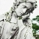 readingbeesssss avatar