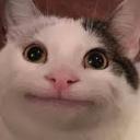 readingcatinacorner avatar