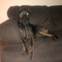 readingnookshelf avatar