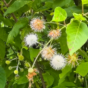 readingnstuff avatar