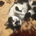 readingrocks-liel avatar