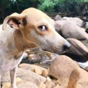 readtougenankirn avatar