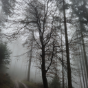 ready-to-loose-my-mind avatar