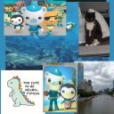 real-autistic-writer-angel avatar