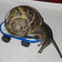 real-depiglio avatar