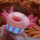 realaxolotl avatar