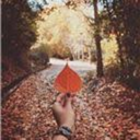 realdachishit avatar